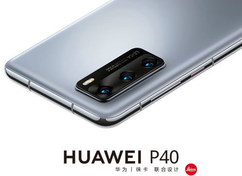 p40多少钱钱啊?