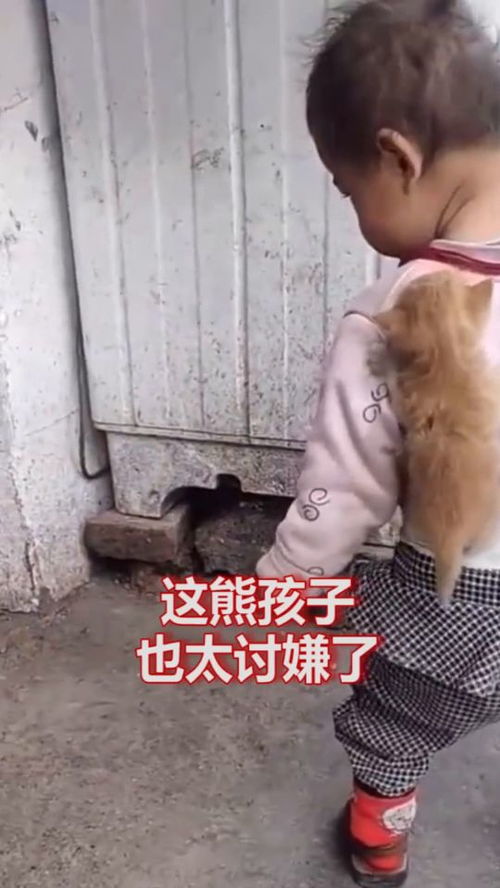 嫌弃和讨嫌的区别