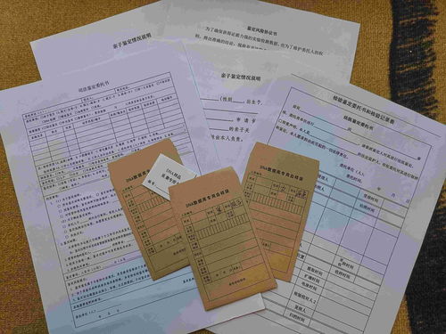 鉴定血缘关系需要带什么材料
