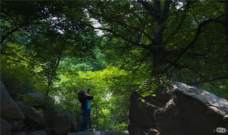莽莽万重山,孤城山谷间，山谷间的热力环流图