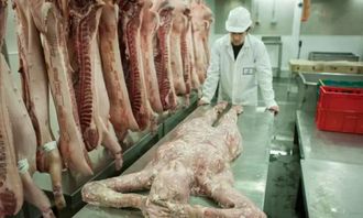 《古墓丽影9》游戏图文流程攻略(三)