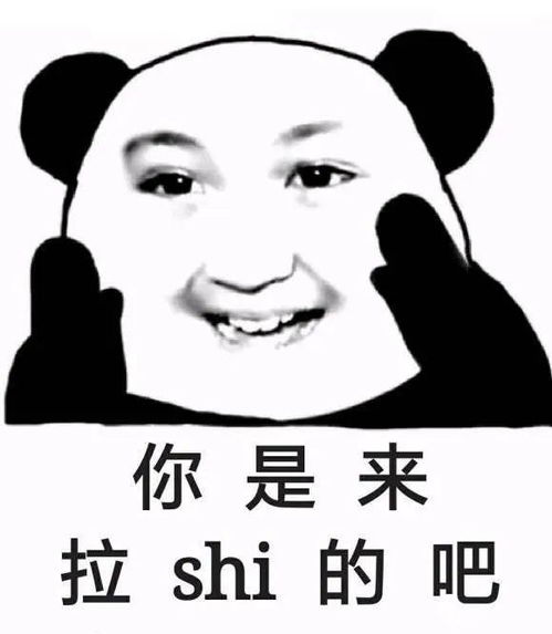 你是来拉屎的吧是什么电视剧?
