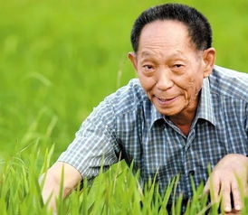 杨振宁82岁娶28岁的翁帆，袁隆平老婆还在