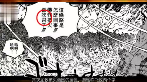 革命军首领龙,不是很关心亲儿子,却为何更关心罗宾?