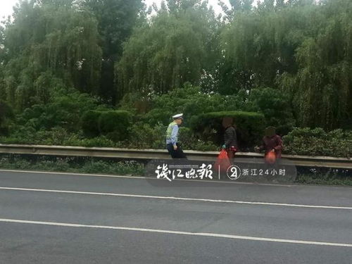 高速三大妈雷凌轩逸卡罗拉，高速三大妈是什么