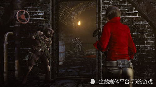 生化危机6艾达王解密房间，生化危机6艾达篇可以双人吗