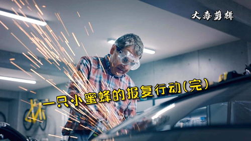 蜂行动app下载官网,蜂行动沃账户代扣是扣谁的钱