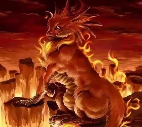 狻猊是什么动物图片，狻猊是什么动物重点