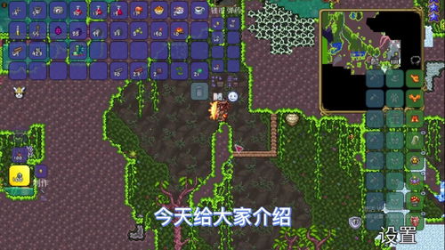 泰拉瑞亚丛林孢子怎么获得，泰拉瑞亚丛林孢子长什么样