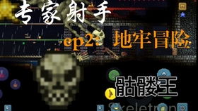 泰拉瑞亚墙怎么拆除墙面,泰拉瑞亚墙怎么拆地下