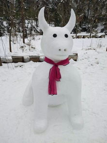 电视剧无证之罪雪人是谁
