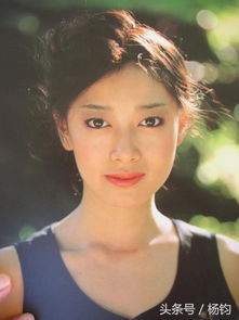 夏木雅子安培晋三,夏木子简介