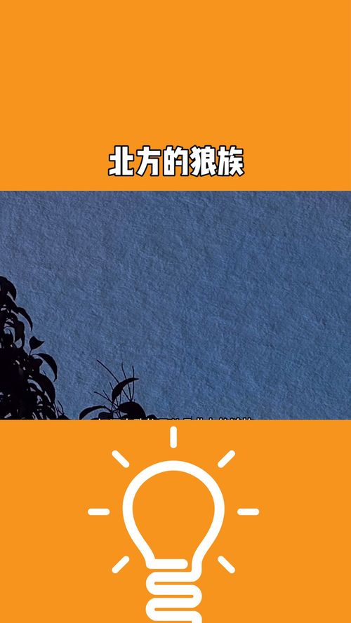 你说北方的狼族是什么歌，歌词北方的狼族是什么歌