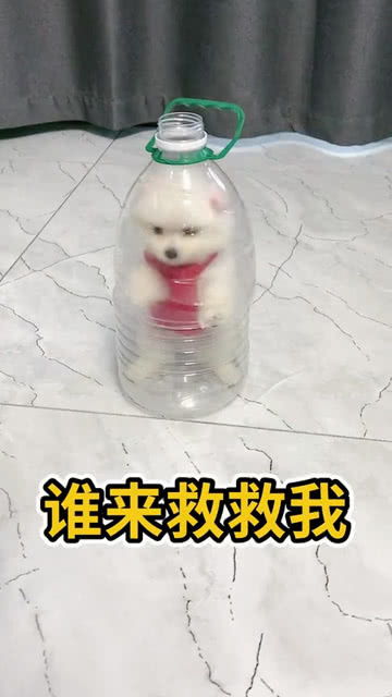 谁来救救我400字作文