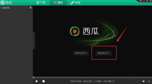 《西瓜影音》安装及使用教程