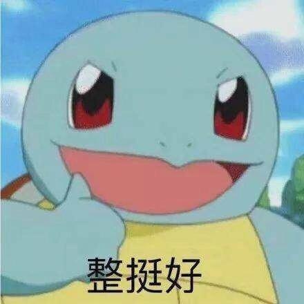 整挺好 怎么接下句