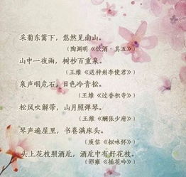 诗词接龙飞花令，诗词接龙游戏