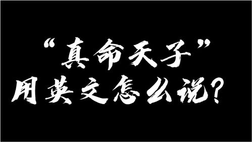 真命天妃，真命小和尚电视剧