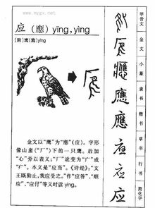 图繁体字怎么写，书繁体字