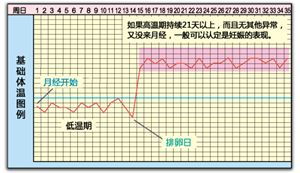 基础体温