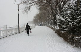 张万森下雪了图片，下雪了图片唯美