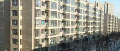 洛克小镇老狄克sp，珍妮在洛克小镇