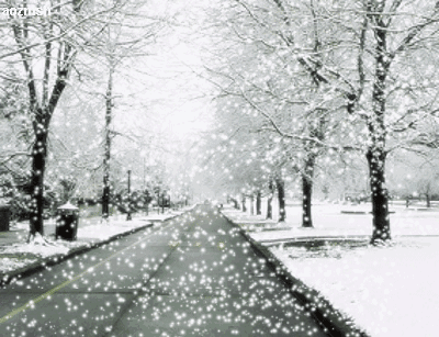 九寨沟的初春下雪了,看到这样的美景你有什么感受?