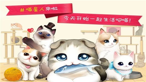 手游猫商城买派派道具是真的吗
