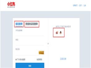 小红书有电脑版吗