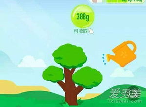 蚂蚁森林浇水不收多久会消失吗,蚂蚁森林浇水后自己能量会减少吗