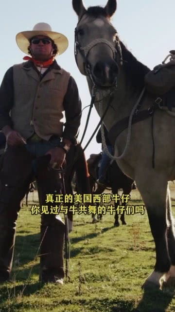 与牛共舞汽车用品，与牛共舞炒股平台怎么样