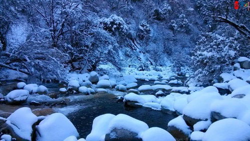 雪降愚人节，雪降花韩剧