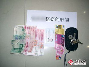 赃物的意思赃物的意思是什么