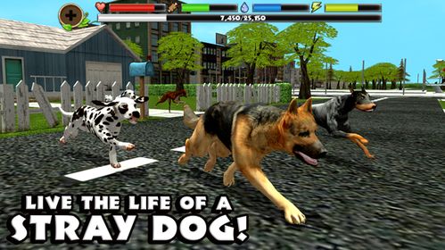 stray dog sim怎么玩