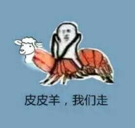 网络梗2023，网络梗byd什么意思