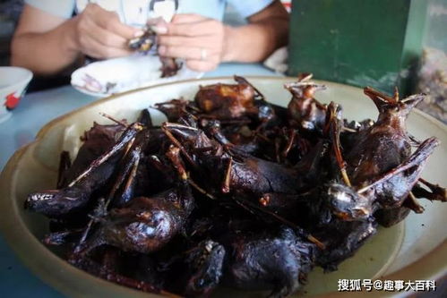 蝙蝠宴美食图片大全，蝙蝠菜肴图片