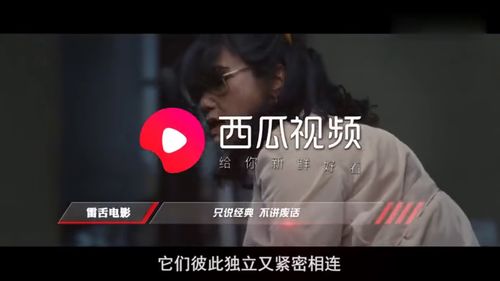 云图未删减版