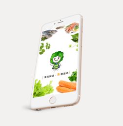 蔬菜配送app平台有哪些，保定蔬菜配送app