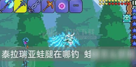 泰拉瑞亚钓鱼任务怎么做怎么快速完成钓鱼任务