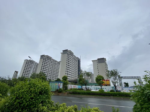 《大唐锦绣坊》锦绣坊售卖剧情攻略
