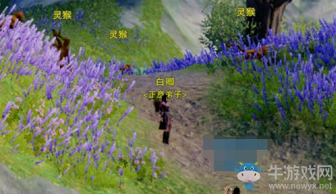 朝暮宝箱其他货币物品是什么
