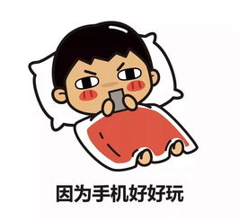 看看新闻