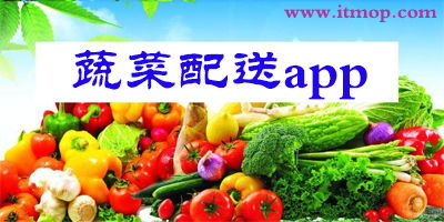 蔬菜配送系统哪家好?蔬菜配送软件?