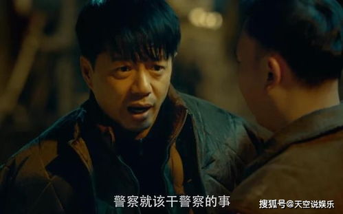 双探电视剧全集免费播放观看，双探电视剧全集免费收看
