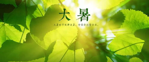 大暑诗句简单，大暑诗句古诗
