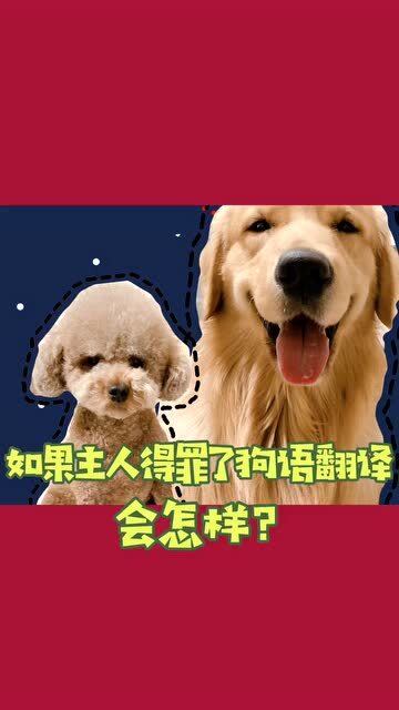 可以把傻狗你给我过来这几个字翻译成狗语吗