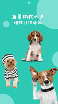 狗语翻译器在线使用，狗语翻译在线