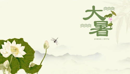 描写大暑的诗句古诗词