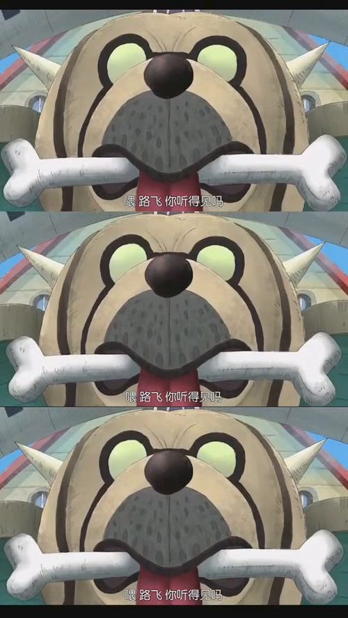 谁知道万里阳光号的含义?