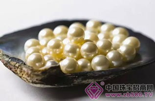 什么是深海珍珠。深海珍珠有什么药用价值